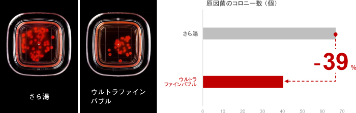 コロニー数