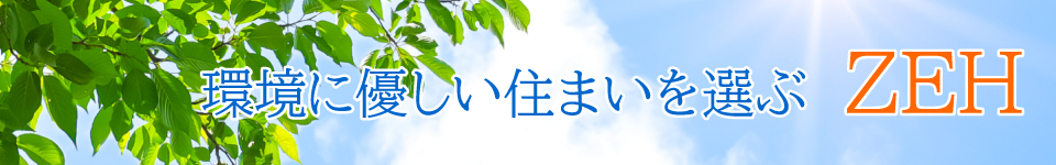 OTHERS/その他